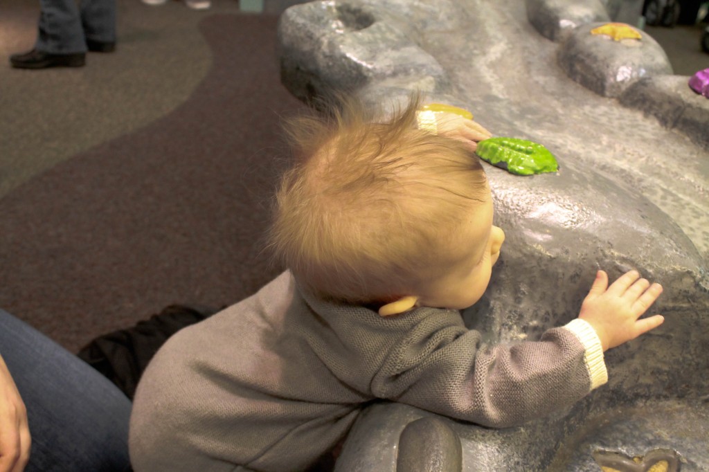 PDXChildrens10