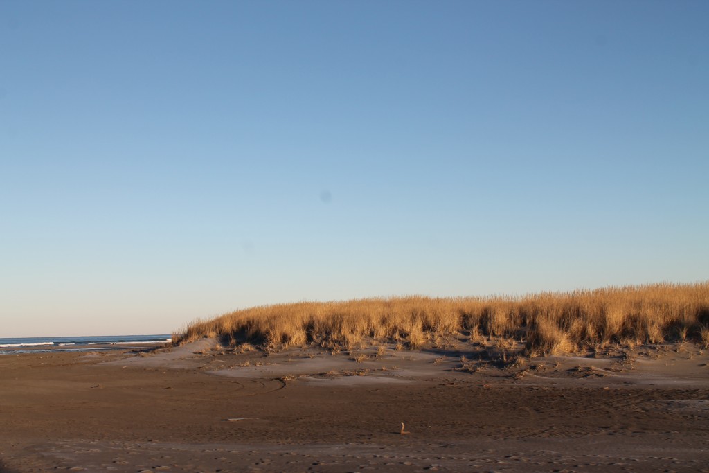 IngalweathersDoTheCoast_2064