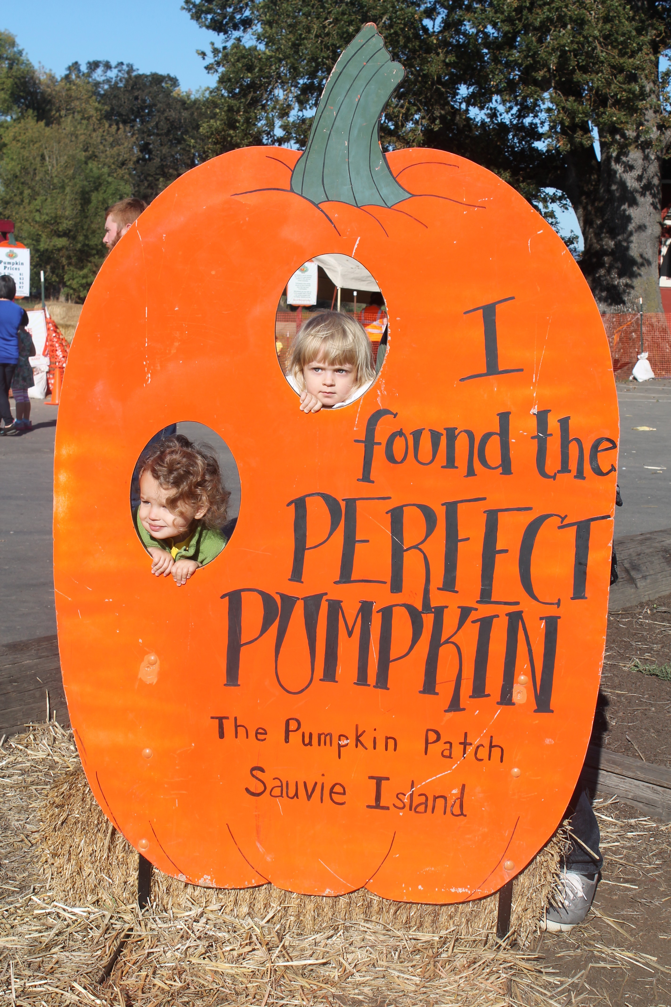 thepumpkinpatch-edith&shosh